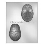 Chocoladevorm 3D Brain