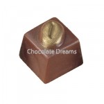 PC Chocolate Mold 1019